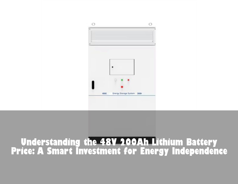 Understanding the 48V 200Ah Lithium Battery Price: A Smart Investment for Energy Independence | Huijue Bess