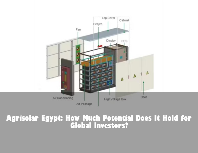 Agrisolar Egypt: How Much Potential Does It Hold for Global Investors? | Huijue Bess