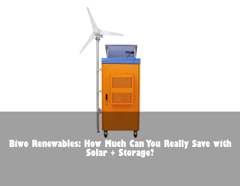 Biwo Renewables: How Much Can You Really Save with Solar + Storage? | Huijue Bess