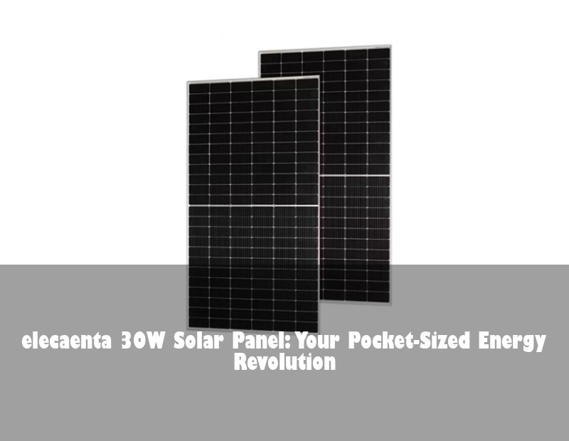 elecaenta 30W Solar Panel: Your Pocket-Sized Energy Revolution