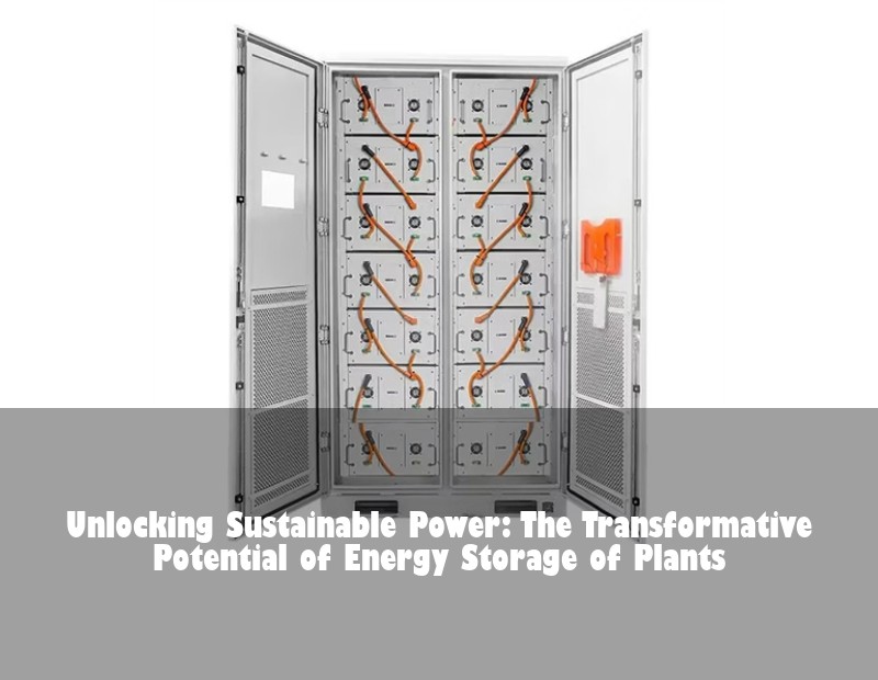 Unlocking Sustainable Power: The Transformative Potential of Energy Storage of Plants