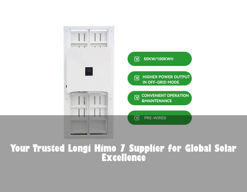 Your Trusted Longi Himo 7 Supplier for Global Solar Excellence