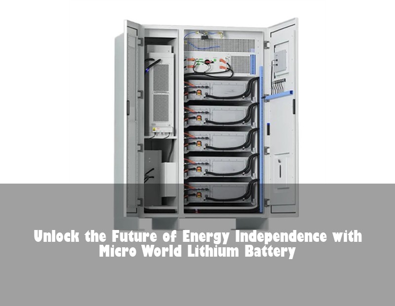 Unlock the Future of Energy Independence with Micro World Lithium Battery