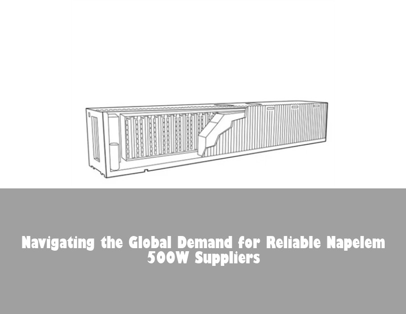 Navigating the Global Demand for Reliable Napelem 500W Suppliers