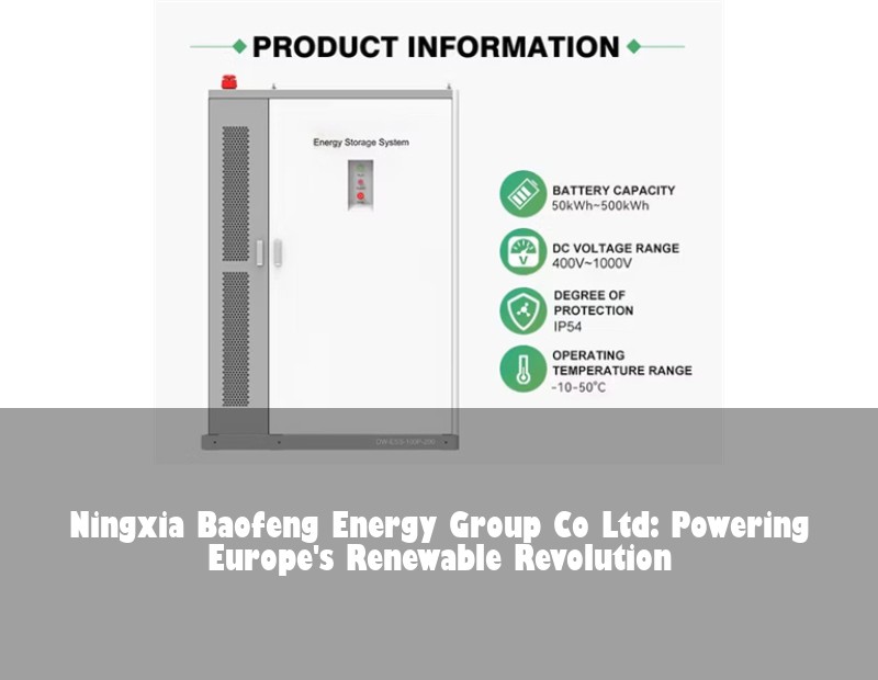 Ningxia Baofeng Energy Group Co Ltd: Powering Europe's Renewable Revolution | Huijue Bess