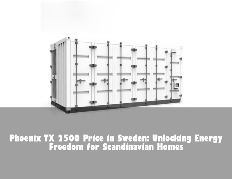 Phoenix TX 2500 Price in Sweden: Unlocking Energy Freedom for Scandinavian Homes | Huijue Bess