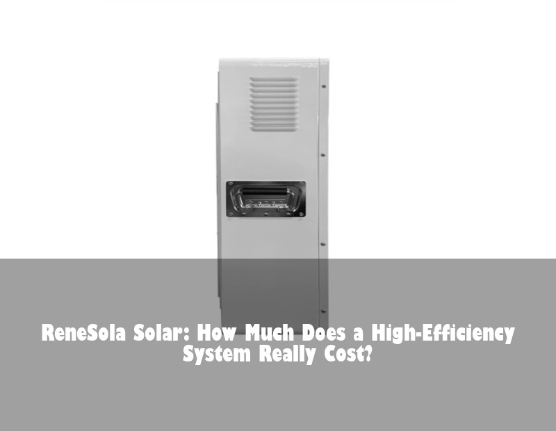 ReneSola Solar: How Much Does a High-Efficiency System Really Cost?