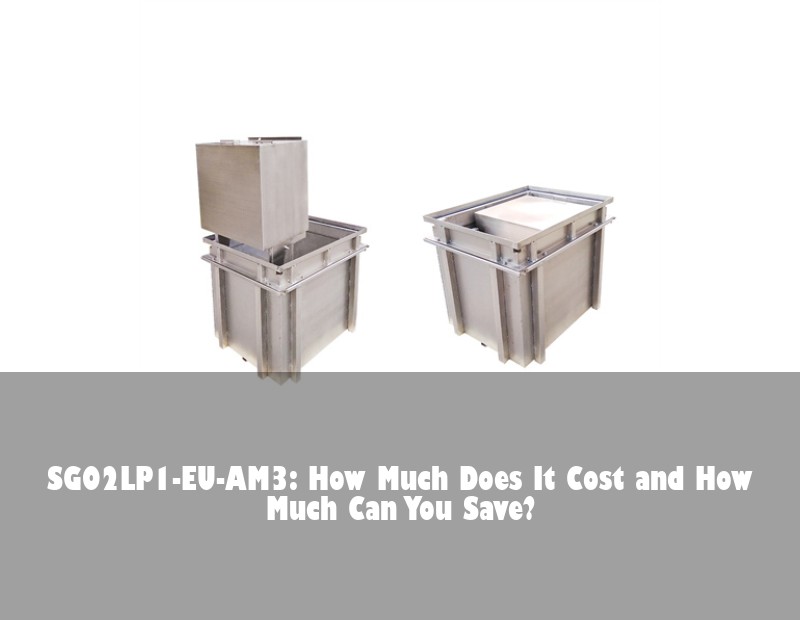 SG02LP1-EU-AM3: How Much Does It Cost and How Much Can You Save?