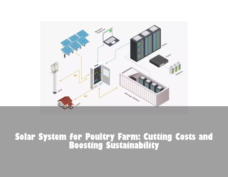 Solar System for Poultry Farm: Cutting Costs and Boosting Sustainability