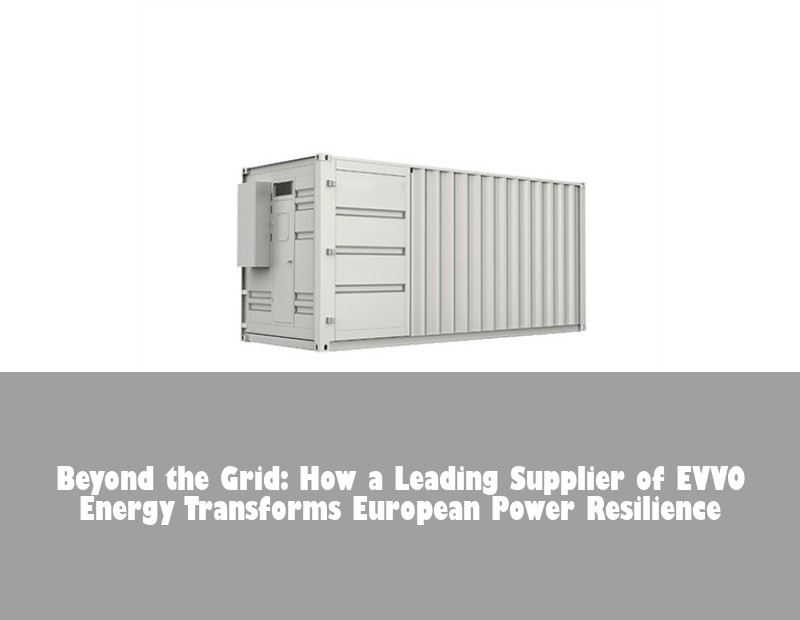 Beyond the Grid: How a Leading Supplier of EVVO Energy Transforms European Power Resilience
