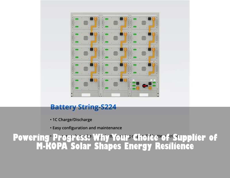 Powering Progress: Why Your Choice of Supplier of M-KOPA Solar Shapes Energy Resilience | Huijue Bess