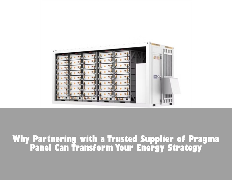 Why Partnering with a Trusted Supplier of Pragma Panel Can Transform Your Energy Strategy
