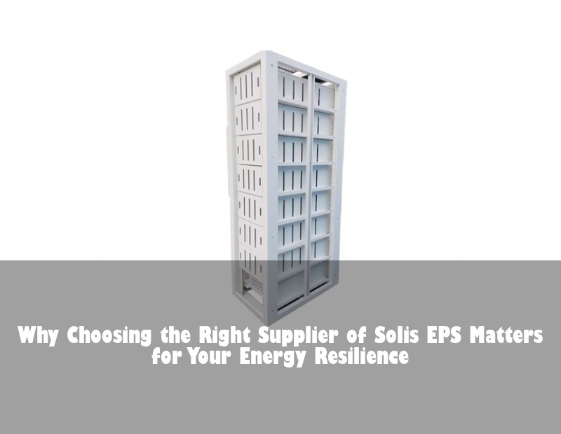 Why Choosing the Right Supplier of Solis EPS Matters for Your Energy Resilience | Huijue Bess