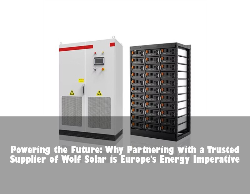 Powering the Future: Why Partnering with a Trusted Supplier of Wolf Solar is Europe's Energy Imperative | Huijue Bess