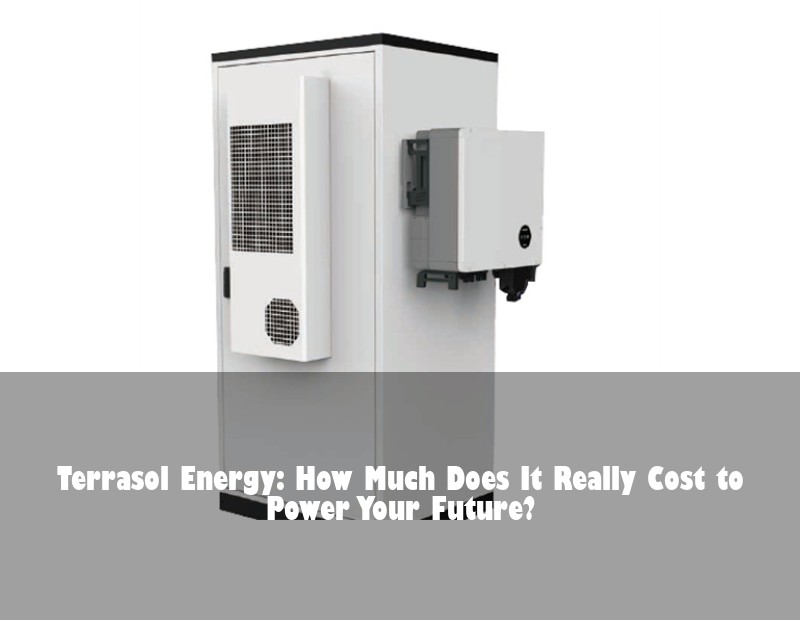 Terrasol Energy: How Much Does It Really Cost to Power Your Future? | Huijue Bess